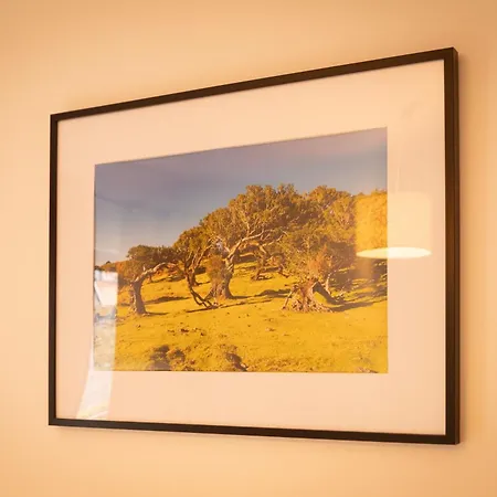 Casa de Férias Rita In Machico (Madeira)